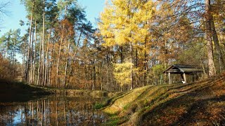 Morskie Oko i Krągły Goraj - piękno Roztocza w Nadleśnictwie Tomaszów