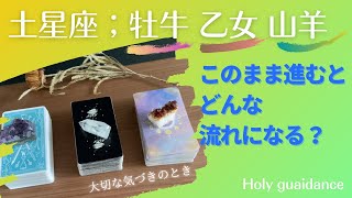 【牡牛座 乙女座 山羊座 🌲】【地星座3択】このまま進むとどんな展開がくる？流れをみました🌕🌖🌗🌘🌑✴︎✳︎✴︎ Holyガイダンス✴︎✳︎✴︎