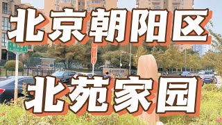 北京朝阳区北苑家园，街头巷尾的美味佳肴