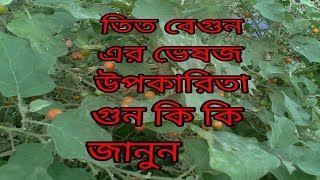 কৃমি মুক্ত থাকার ঔষধ তিত বেগুন, তিতবেগুন সেবনে শক্ত কিছু হজম হয়ে যাবে