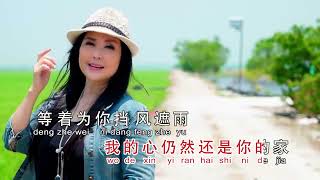 Liu Lang Hua ( 流浪花 ) Huang Hui Yi Pinyin Lyrics