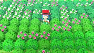 【どうぶつの森】友達の島に低木を大量に植えてスーモの森作る荒らしww【うさごん】