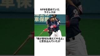 「日本には金を稼ぎにきただけだった」アレックス・ラミレスついての雑学#野球#野球雑学#ヤクルトスワローズ