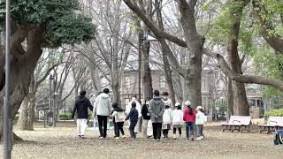 旧東京音楽学校奏楽堂前の花いちもんめ