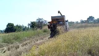 รถเกี่ยวนวดข้าว ซันซัน การช่าง Combine harvester