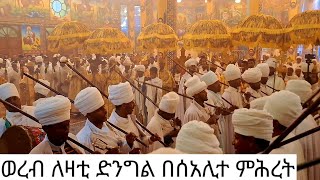 29 January 2025 ወረብ ለዛቲ ድንግል በሰአሊተ ምሕረት ሊቃውንት