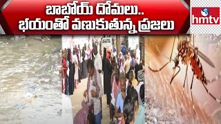 భాగ్యనగరంలో దోమలతో బెంబేలెత్తుతున్న జనం.. | hmtv