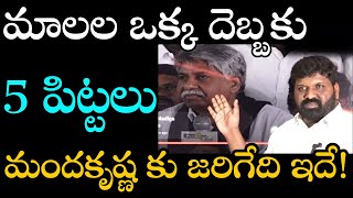 మాలల ఒక్క దెబ్బకు 5 పిట్టలు. మందకృష్ణ కు జరిగేది ఇదే!