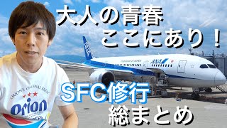 SFC修行を終えて。かかった航空券代は？オススメ行動と注意点、運賃を安く抑えるコツ、修行のメリット＆デメリット