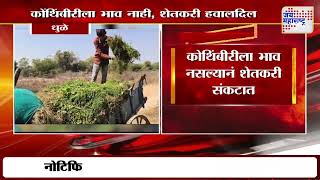 Dhule | कोथिंबीरीला भाव नसल्यानं शेतकरी संकटात | Marathi News