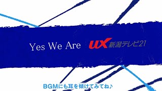 【採用情報】UXの社内と社員の声！