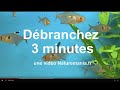 Pause relax : débranchez-vous 3 minutes par Guy Roulier