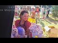 Турция 2022 очень смешные собачки выставка жизньвтурции petfriendly petfestival