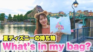 【バッグの中身】夏ディズニーに必ず持っていく物をご紹介！