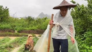 冒雨去红薯地排水，回家后小翠问累不累，阿金的回答让她哈哈笑