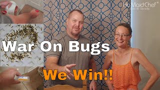 How To, No More Bugs And Ants In Our Florida Home