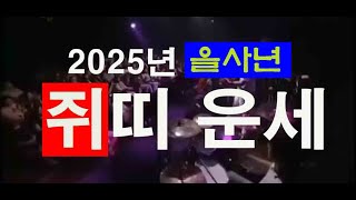 2025년 을사년 쥐띠 신년운세