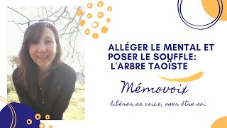 Alléger le mental et ancrer le souffle: méditation en mouvement - l'arbre du Tao 🌳 ☀️