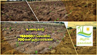 #உணவு #காடு அமைக்க ஆகும் செலவு | food forest | 700 பழ மரங்கள்