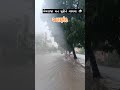 આણંદ મા મન મૂકીને મેઘરાજા વરસ્યા ⛈️. rain anand gujarat