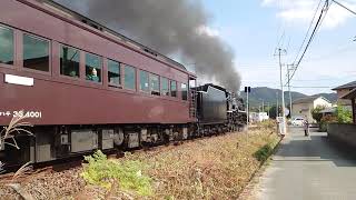 The D51-200 steam engine on the Yamaguchi Line/山口線を走るD51-200蒸気機関車/Die japanische D51-200 Dampflok