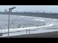 【鵠沼海岸】2022.6.12日am7 30