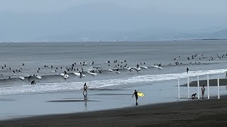 【鵠沼海岸】2022.6.12日AM7:30