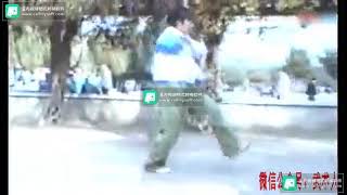 七星螳螂拳・少林羅漢螳螂拳　聶世鳳老師　崩歩　1996年