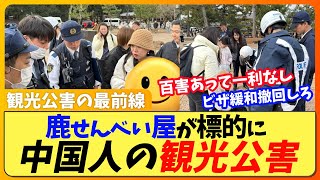 奈良公園で観光公害が拡大！！中国人観光客が鹿せんべいの売店を取り囲み集団で詐欺行為か【国内の反応】