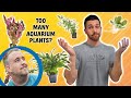 Buying Aquarium Plants WHOLESALE / Meet Up With Aquarium Co-Op