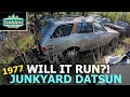 JUNKYARD 1977 Datsun 710 WAGON. Will it run?!?