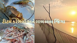 ટીટમ કરેસલો અને લાલ લાલ જિંગા કેવી રીતે પકડ્યા#india #gujarat #fish