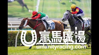 20241222「紅鬃烈馬」勝出後練馬師葉楚航訪問