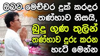 බුදු ගුණ තුලින් තණ්හාව දුරු කරන හැටි මෙන්න @niwanmagabuduguna  #buduguna