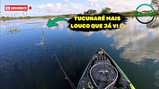 TUCUNARÉ MIM DEU UM SUSTO😨😬/ QUE SHOW DE PESCARIA 👏🏽👏🏽🎣