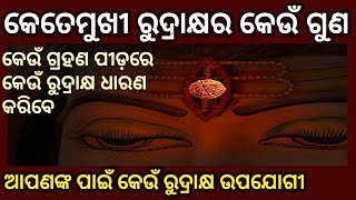 Kete Mukhi Rudraksha ra keu guna in odia,keun Graha Pidare Keun Rudraksha Dharana karibe,Benefits R,