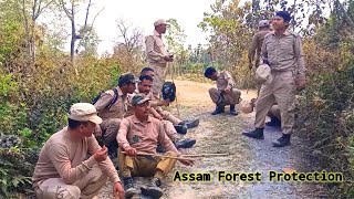 Assam Forest Protection duty in wildlife Sanctuary | Manas National Park World Heritage Sites 🦒