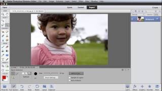 Selecting Fine Detail Using Refine Edge with Photoshop Elements 11