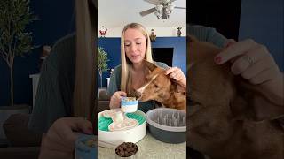 Easy \u0026 healthier kibble alternative 🥣🐕 #shorts