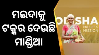 Millet Mission Odisha | ମାଣ୍ଡିଆର ଦିନକୁ ଦିନ ଚାହିଦା ବଢ଼ିବାରେ ଲାଗିଛି | Odia News