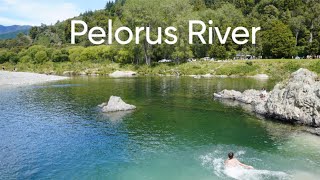 New Zealand Natural Gem: Pelorus River and Nature Walking Trails | Homeschool Field Trip