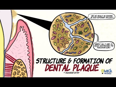 What are plaques in microbiology?