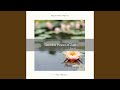 Perfect Meditation with Perfect Wilderness Songs pt. 2