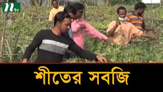 শীতের সবজির ভালো ফলন, মিলছে ন্যায্যমূল্য