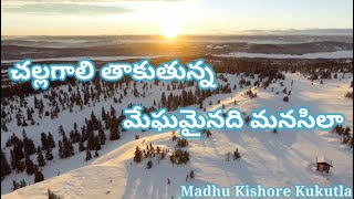 Challa Gali thakuthunna Song with TELUGU Lyrics II Yevade Subramanyam II