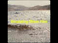 Emulating 35mm Film: Lab Grain Pro