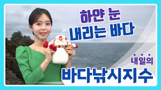 [바다낚시지수] 25년2월8일 전국 대부분 지역 눈 내리며 대설특보~ 바다상황 비상사태! / 해양예보방송