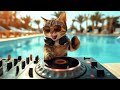 dj miaww live melodic techno u0026 progressive house mix techno music mix