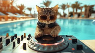 DJ MIAWW Live - MELODIC TECHNO \u0026 PROGRESSIVE HOUSE MIX - TECHNO MUSIC MIX