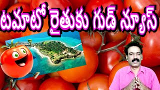 అండమాన్‌కు టమాటో ఎగుమతులు Madanapalli Tomato Exports To Andaman Tomato Rate Tomato Price